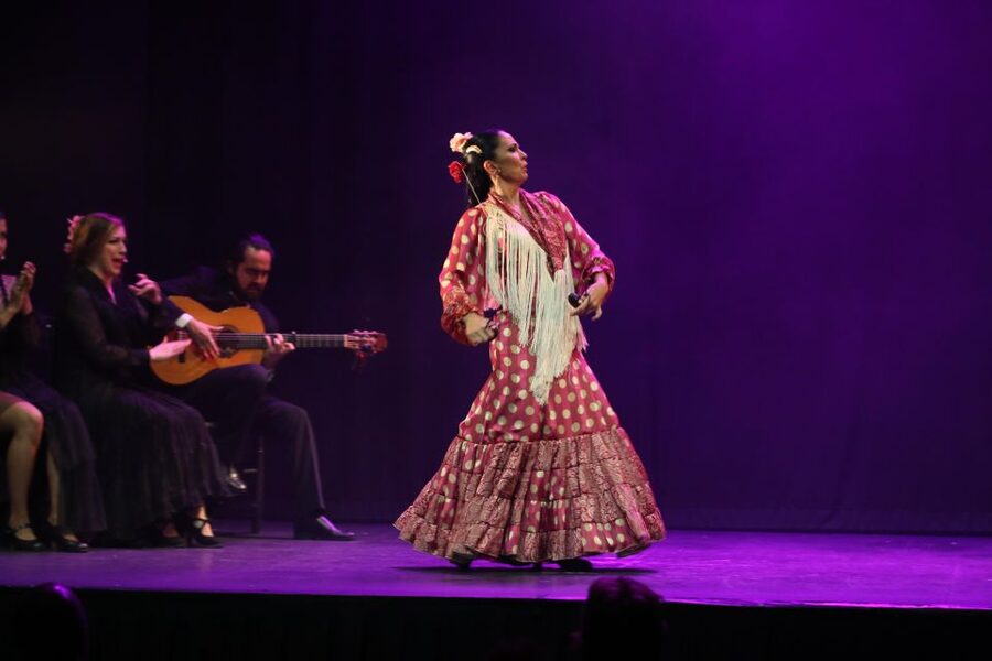 Malaga: Teatro Flamenco Malaga Live Flamenco Show - Timing and check-in: where you start your night