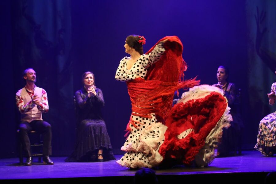 Malaga: Teatro Flamenco Malaga Live Flamenco Show - Drinks at the bar: a nice add-on, not a distraction