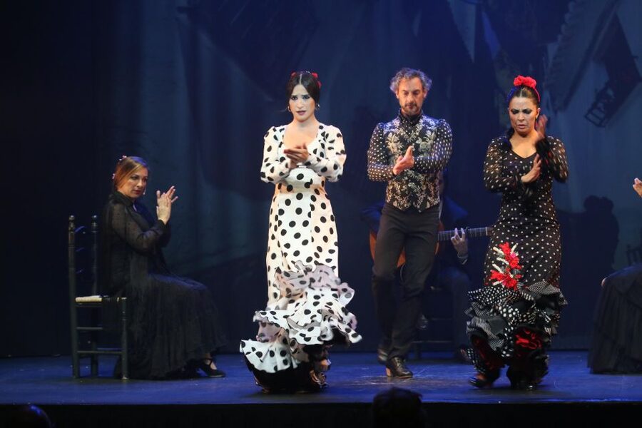 Malaga: Teatro Flamenco Malaga Live Flamenco Show - Plan dinner around the fact that no food is served