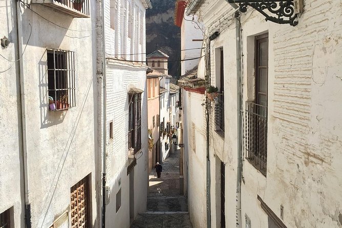 Malaga to Granada trip with Alhambra tickets included - Getting from Malaga to Granada in comfort