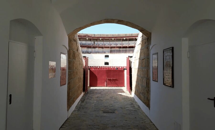 Malaga: Tour of Malagueta Bullring & Immersive Exhibition - Key things I’d put on your shortlist
