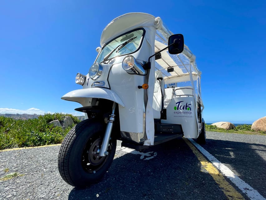 Malaga: VIP private Tuk Tuk tour - Who should book this VIP tuk tuk tour