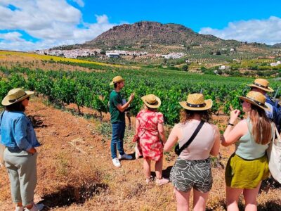White Village, Vineyard, and Wine Tasting Wine Tour