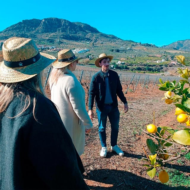 Malaga: White Village, Vineyard, and Wine Tasting Wine Tour - Meet the countryside: getting from town to vines