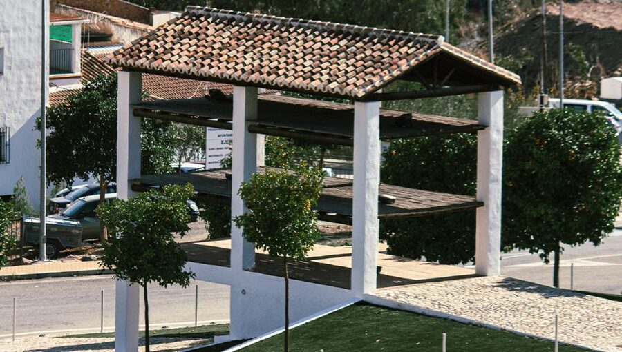 Malaga: White Village, Vineyard, and Wine Tasting Wine Tour - The guide experience: Ramón’s local storytelling adds real value