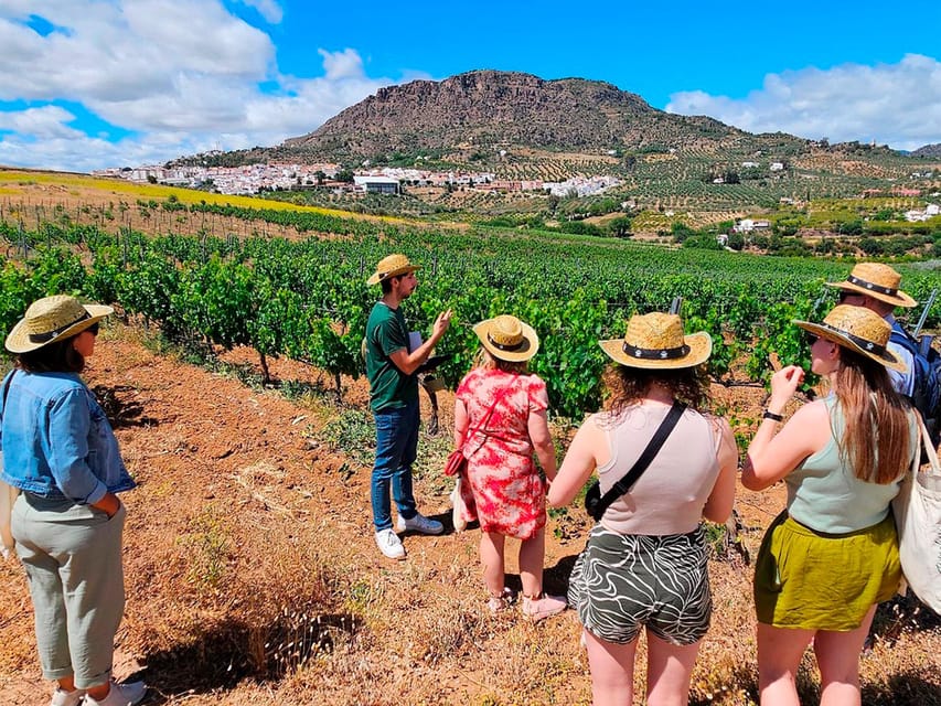 Malaga: White Village, Vineyard, and Wine Tasting Wine Tour - The Álora walking loop: museum, church, and the castle setting