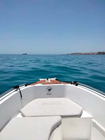 MANGO BOAT – Unlicensed boat in Puerto Banús
