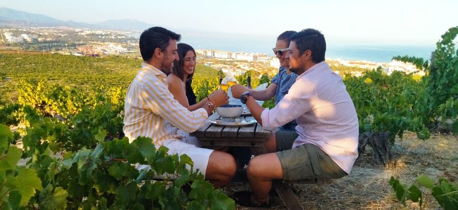 Manilva: Nilva Vineyard, Wine Tasting & Tapas Guided Tour - Key highlights you should not miss
