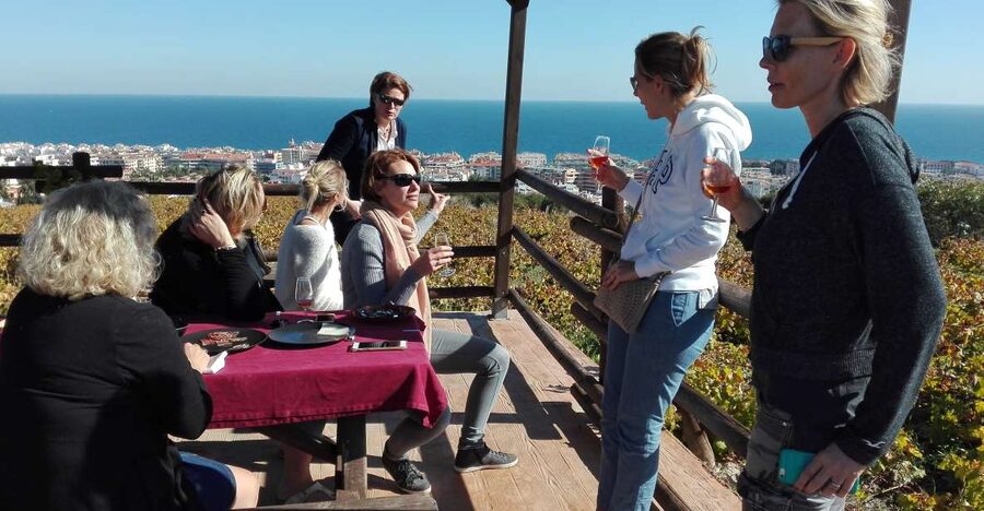 Manilva: Nilva Vineyard, Wine Tasting & Tapas Guided Tour - Manilva’s vineyards, the view, and why this tour feels purposeful