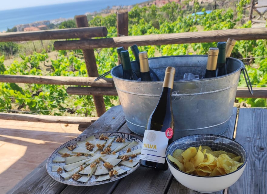 Manilva: Nilva Vineyard, Wine Tasting & Tapas Guided Tour - How the walking, vehicles, and timing affect your comfort