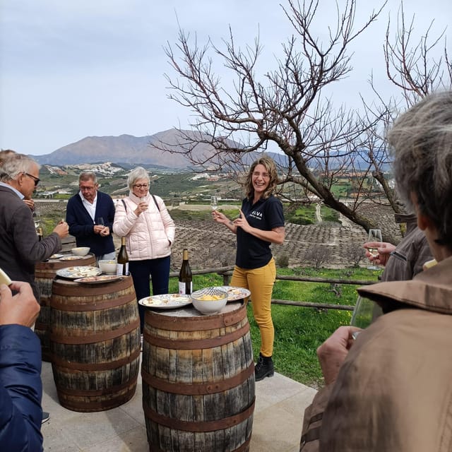 Manilva: Nilva Vineyard, Wine Tasting & Tapas Guided Tour - Price and value: why $35 makes sense for what you get