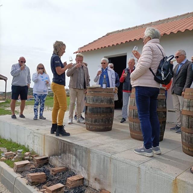 Manilva: Nilva Vineyard, Wine Tasting & Tapas Guided Tour - Should you book Nilva Vineyard, Wine Tasting, and Tapas in Manilva?