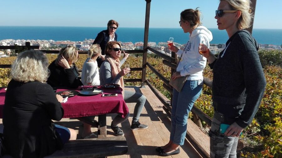 Manilva: Nilva Vineyard, Wine Tasting & Tapas Guided Tour - Civima Wine Museum: a fast, focused lesson on Manilva grapes