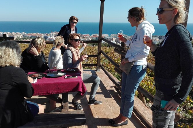 Manilva Oceanfront Wine Experience in the Marbella Area - Key highlights you should know before you go