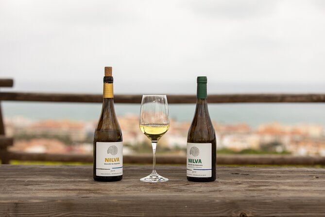 Manilva Oceanfront Wine Experience in the Marbella Area - Price and value: why $36.04 can make sense