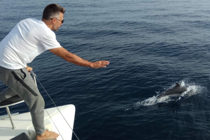Marbella 3-hour Catamaran Group Excursion with Dolphin Watching - Dolphin watching, minus the hype: what you can realistically expect