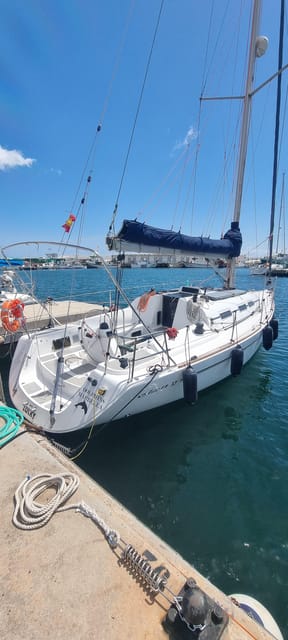 Marbella: Dolphin-Watching Sailboat Trip with Drinks, Snacks - Getting Photos Without Extra Stress