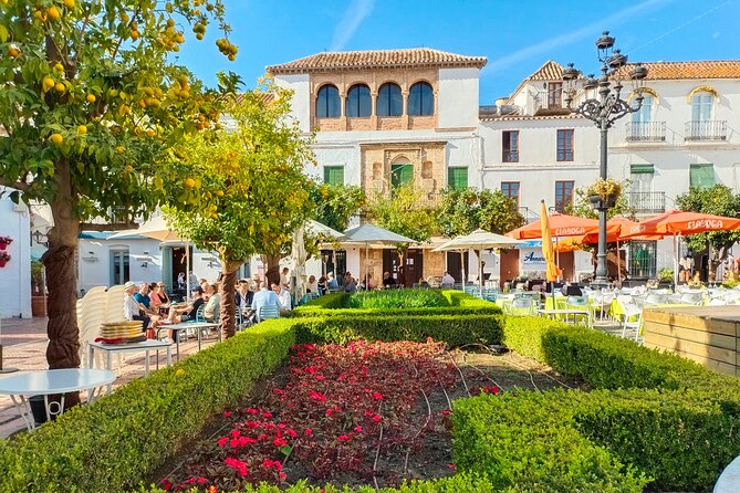 Marbella: group walking Tour - A 90-minute loop that makes Marbella make sense
