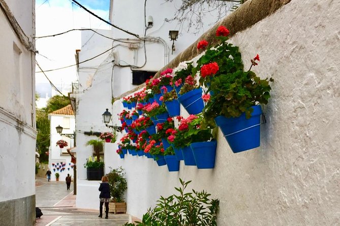 Marbella Old Town: Group Tour with a True Local - Plaza de los Naranjos Finish: Where the Olive Oil Tasting Lands