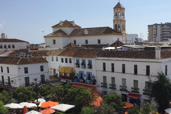 Marbella Old Town: Group Tour with a True Local - The Olive Oil Tasting: What You Learn and What to Ask for