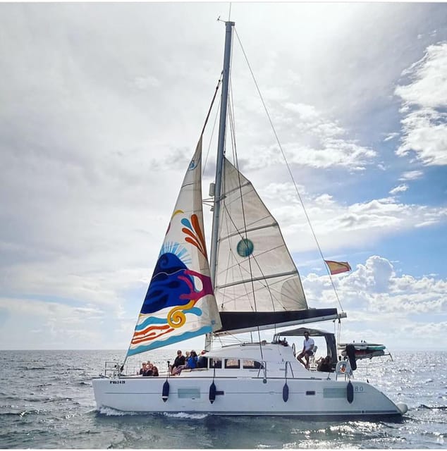 Marbella: Private Cruise in Catamaran - Price and value for $706 per group