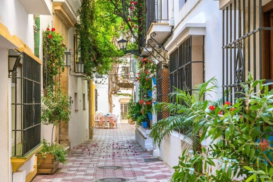 Marbella: Private custom tour with a local guide - Customization That Actually Matters (And Museum Options)