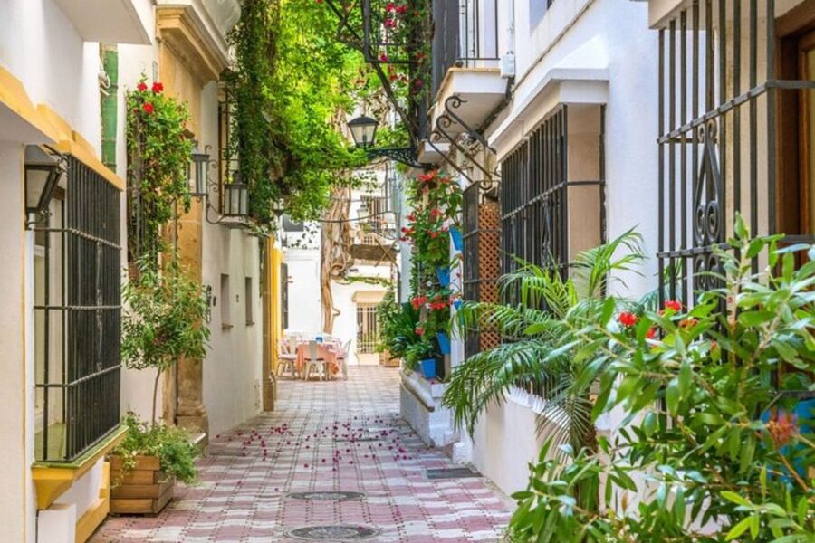 Marbella: Private Customizable Walking Tour with Guide - Who This Tour Fits Best (And Who Might Want Something Else)