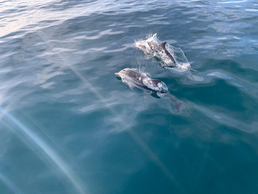 Marbella: Sailing & Dolphin Watching with Snacks and Drinks - Views Toward Africa and Gibraltar: The Conditional Wow Moment