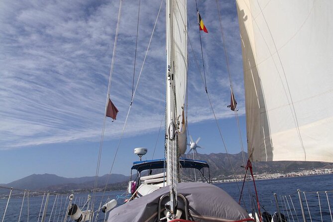 Marbella Sailing Experience - Dolphins and Those Close-Up Moments