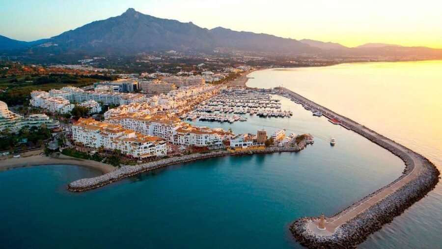 Marbella: Self-Drive Boat Rental - Dolphins and Marine Life: What You Can Expect Without Overpromising