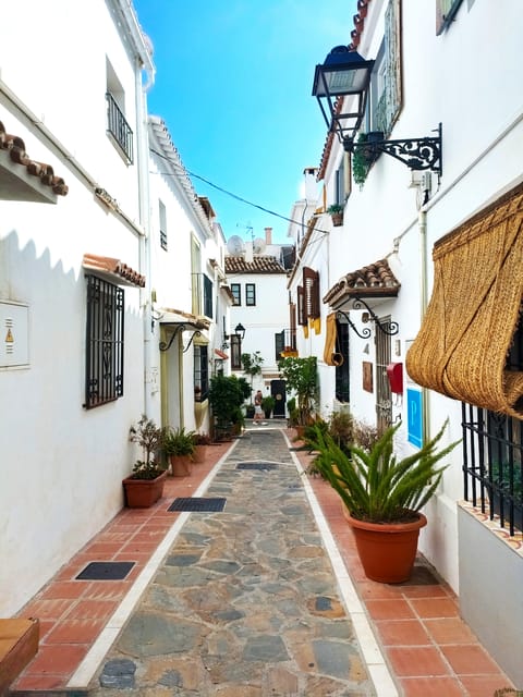 Marbella: Sightseeing Walking Tour - What the guide brings: stories, customs, and food suggestions