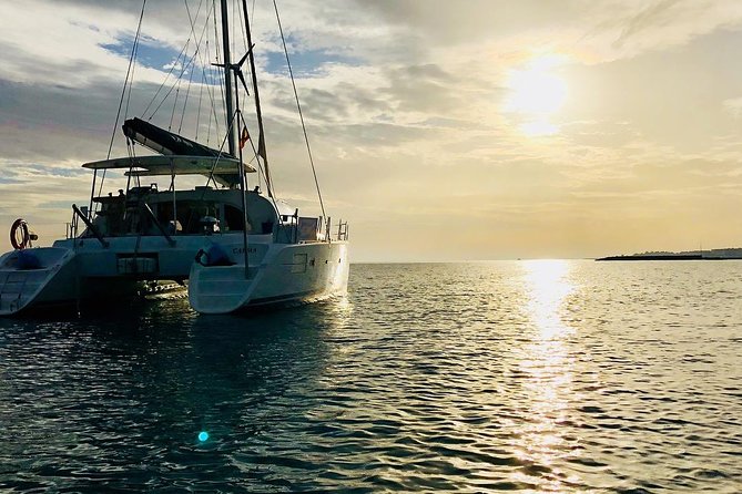 Marbella Small Group Catamaran with Dolphin Watching - Water Gear: Paddle Surf, Snorkeling, and Fishing, All Without Extra Planning