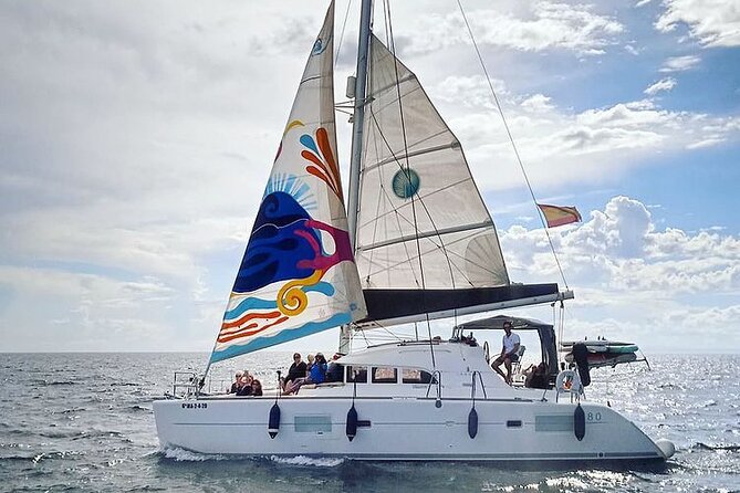 Marbella Small Group Catamaran with Dolphin Watching - Price and Value: What $119 Buys You in Real Time