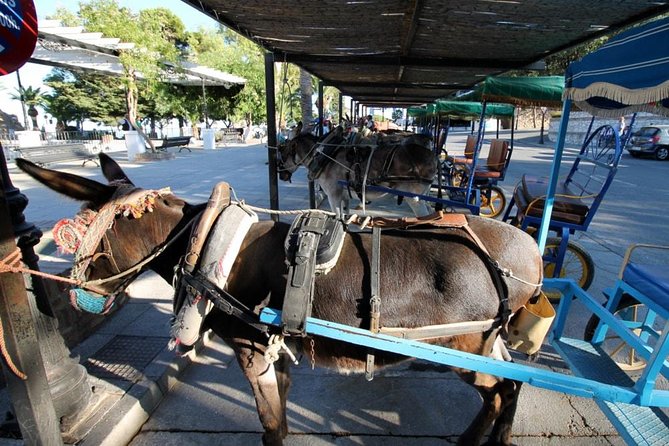 Mijas Private Walking Tour - The price tag: is $296.46 per person fair value?
