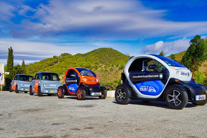 Montes de Málaga Gastronomic Tour by Electric Car - Stop 2: lunch at a typical local sale in the park area