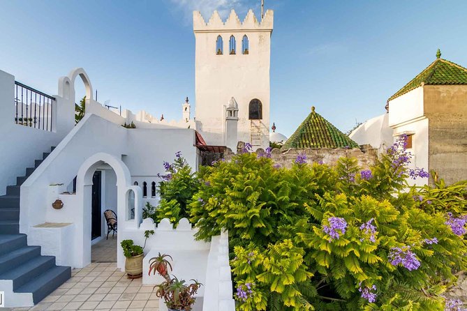 Morocco: Tangier Private Tour from Malaga & Tarifa, All Inclusive - Camel ride reality check: optional, official, and time-limited