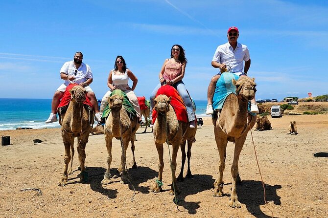 Morocco: Tangier Private Tour from Malaga & Tarifa, All Inclusive - Starting line in Spain: breakfast, van, and ferry handoff