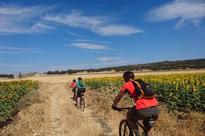 MTB (Self-Guided) Setenil de las Bodegas - 30km Easy - The 10:00 am meeting point and what the start actually means