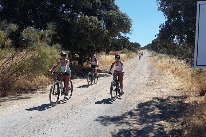MTB (Self-Guided) Setenil de las Bodegas - 30km Easy - What you ride through: farmland, woodland, vineyards, and olive groves