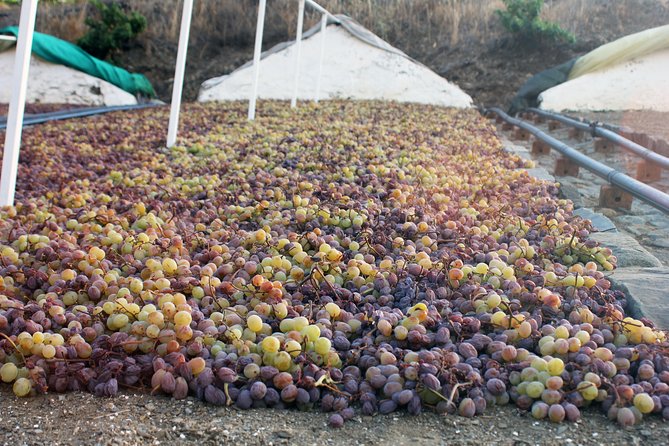 Muscat Raisin Route - Small group with lunch included - Quick highlights you’ll feel from minute one