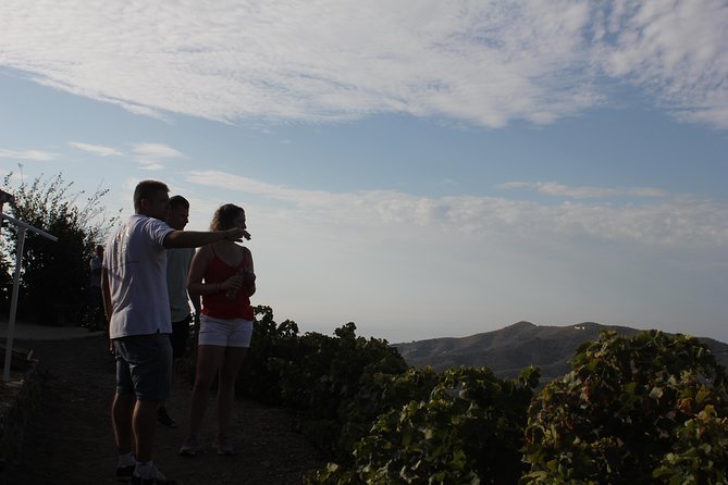 Muscat Raisin Route - Small group with lunch included - A Muscatel raisin day that feels practical, not just sweet