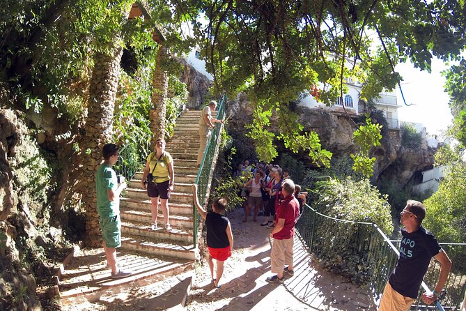 Natural Parck Jeep Eco Tour from Costa del Sol - Why this Jeep eco tour is worth your time from Marbella