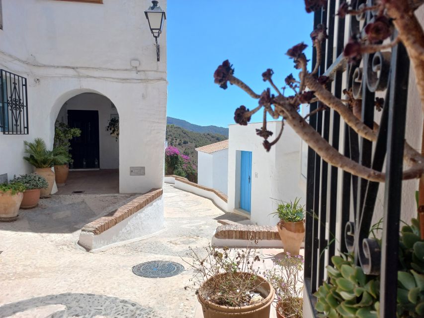 Nerja, Frigiliana & El Acebuchal: Full-Day Semi-Private Tour - What You Get for $106: Value Breakdown in Plain Terms
