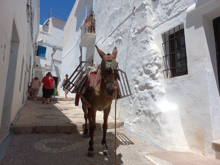 Nerja, Frigiliana & El Acebuchal: Full-Day Semi-Private Tour - El Acebuchal: The Abandoned and Rebuilt Lost Village in the Mountains