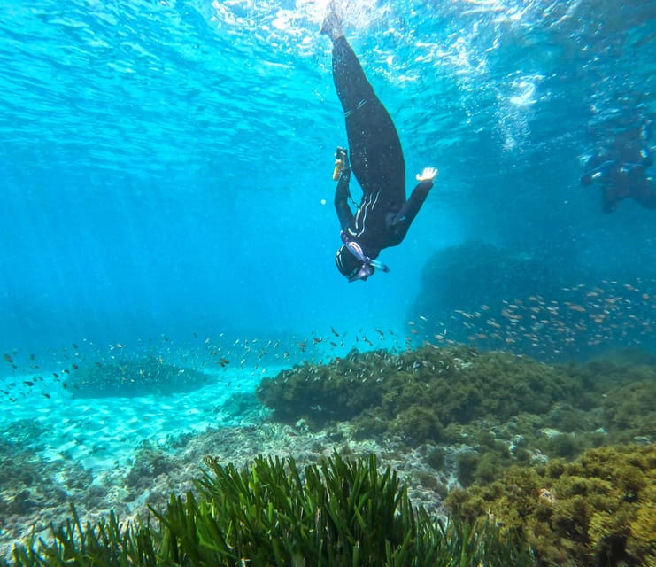Nerja-Maro: Snorkeling & Sea Scooter Speedboat Trip - Nerja-Maro Snorkeling and Sea Scooter: The Value Play Behind the 2 Hours