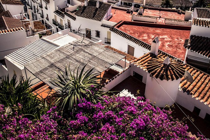 Nerja (Pueblo) + Frigiliana & El Acebuchal - Semi-Private - Meet-up at Malaga: start on time, stay in sync