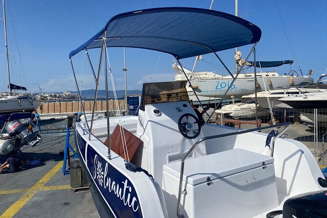 New 2025!! Unlicensed boat for dolphin watching - My Booking Advice: When This Is a Smart Call