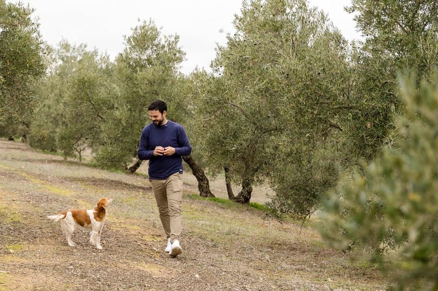 OLIVE OIL & WINE TOUR Organic fields - 5 Wines + 3Olive Oils - Olive oil and wine in Andalusia, minus the tourist script