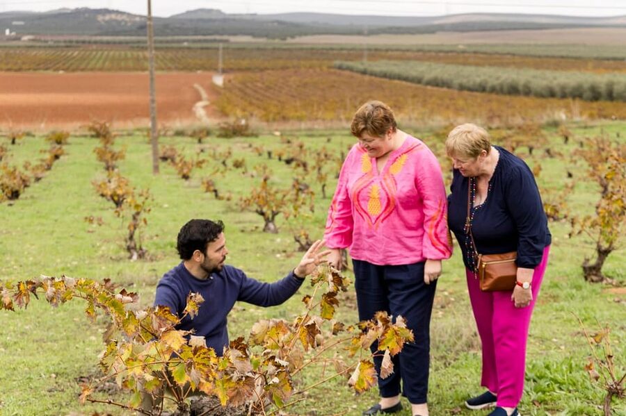 OLIVE OIL & WINE TOUR Organic fields - 5 Wines + 3Olive Oils - The 45-minute walk in organic fields near Mollina