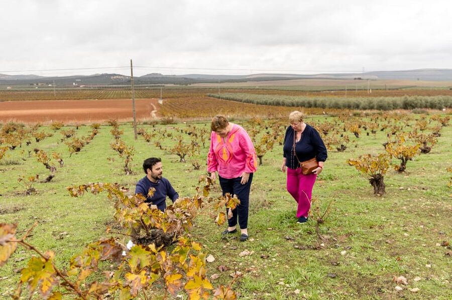 OLIVE OIL & WINE TOUR Organic fields - 5 Wines + 3Olive Oils - What you learn on the ground, not from a brochure